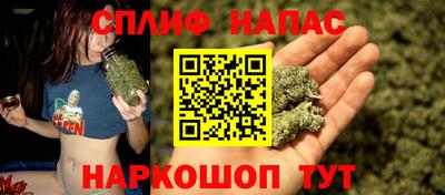 мдпв Краснодар